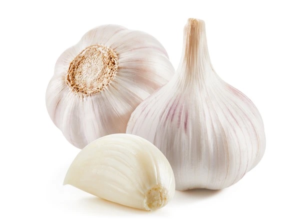 knoblauch