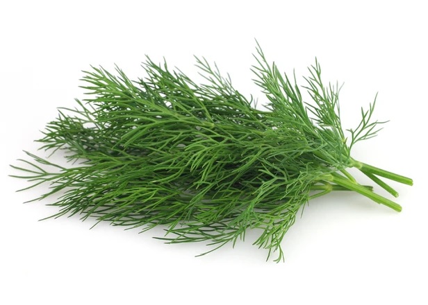 dill
